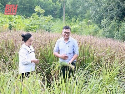 Ngân hàng tại làng
